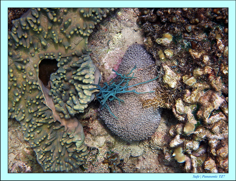 2012 - 07 - Apoh Island 55